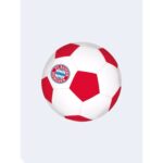 fc bayern football