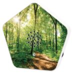 OLYMP Sounds of Nature Box - Image 2