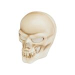LIVARNO Home Beige LED Skull Decor
