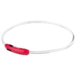 Zoofari Collier à LED Pour Chien