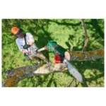 PARKSIDE 20 V Cordless Pole Pruner Chainsaw Branch Saw Telescopic Pole - Image 4