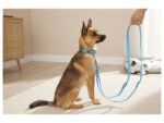 ZOOFARI Dog Leash, Adjustable in 3 Lengths - Image 2