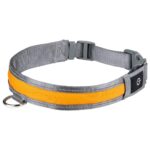 ZOOFARI LED Dog Collar, Large