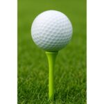 Bambusowe Kołeczki Golf 100 Podstawki Tee 44 Mm - Image 2