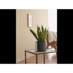 Livarno Home Square Plant Pot Cover - Image 2