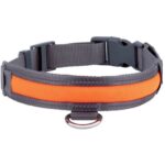 Zoofari LED Dog Collar, Medium