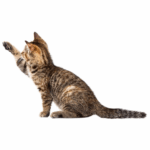 ZOOFARI Cat Fishing Toy - Image 2