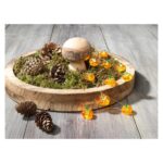 LIVARNO LED String Lights - Image 2