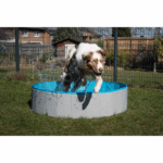 ZooRoyal Dog Pool, Gray and Blue, Ø 80 x 20 cm - Image 2