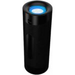 DENVER Black Speaker