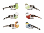 LIVARNO Decorative Birds