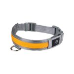 zoofari® LED dog collar (M)