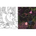 Doodle Scratch Coloring Book - Image 3