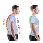 Comfortisse Posture Support Beige Small/Medium - Image 2