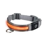 zoofari® LED dog collar (M) - Image 3