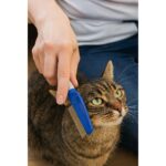 ZOOFARI Comb Brush - Image 2