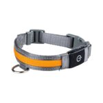 zoofari® LED dog collar (L)